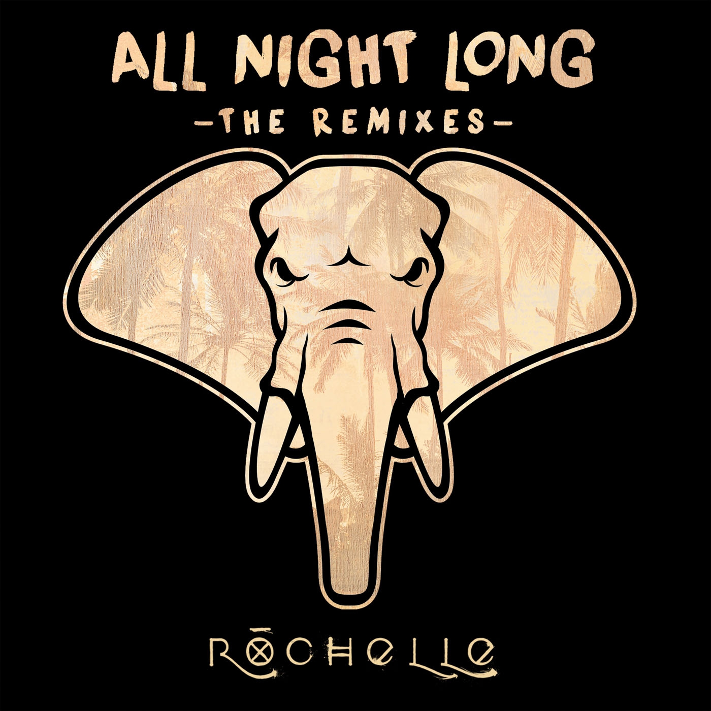 Rochelle - All Night Long (DVDG Remix)